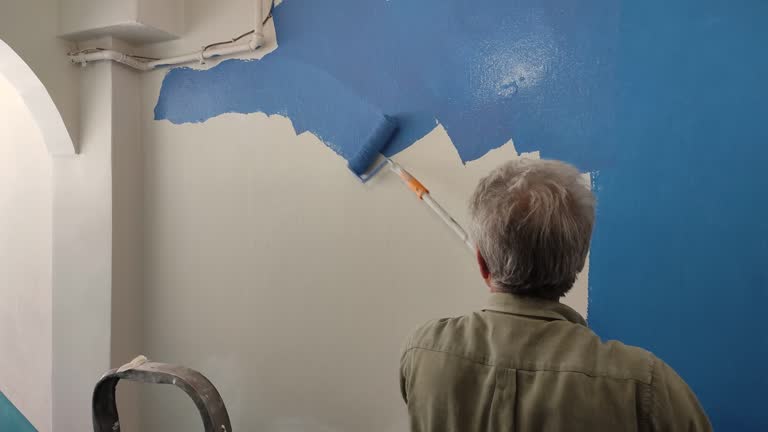 Best Wallpaper Removal and Painting  in Rantoul, IL